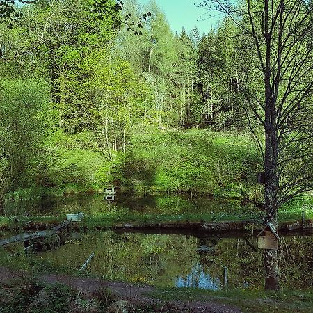 Gut Lauterbad Hotel Freudenstadt Exteriör bild