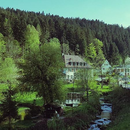 Gut Lauterbad Hotel Freudenstadt Exteriör bild