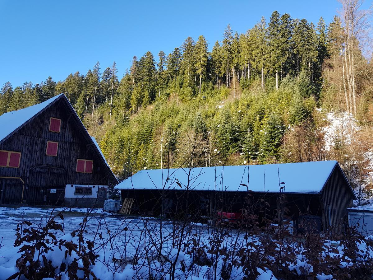 Gut Lauterbad Hotel Freudenstadt Exteriör bild