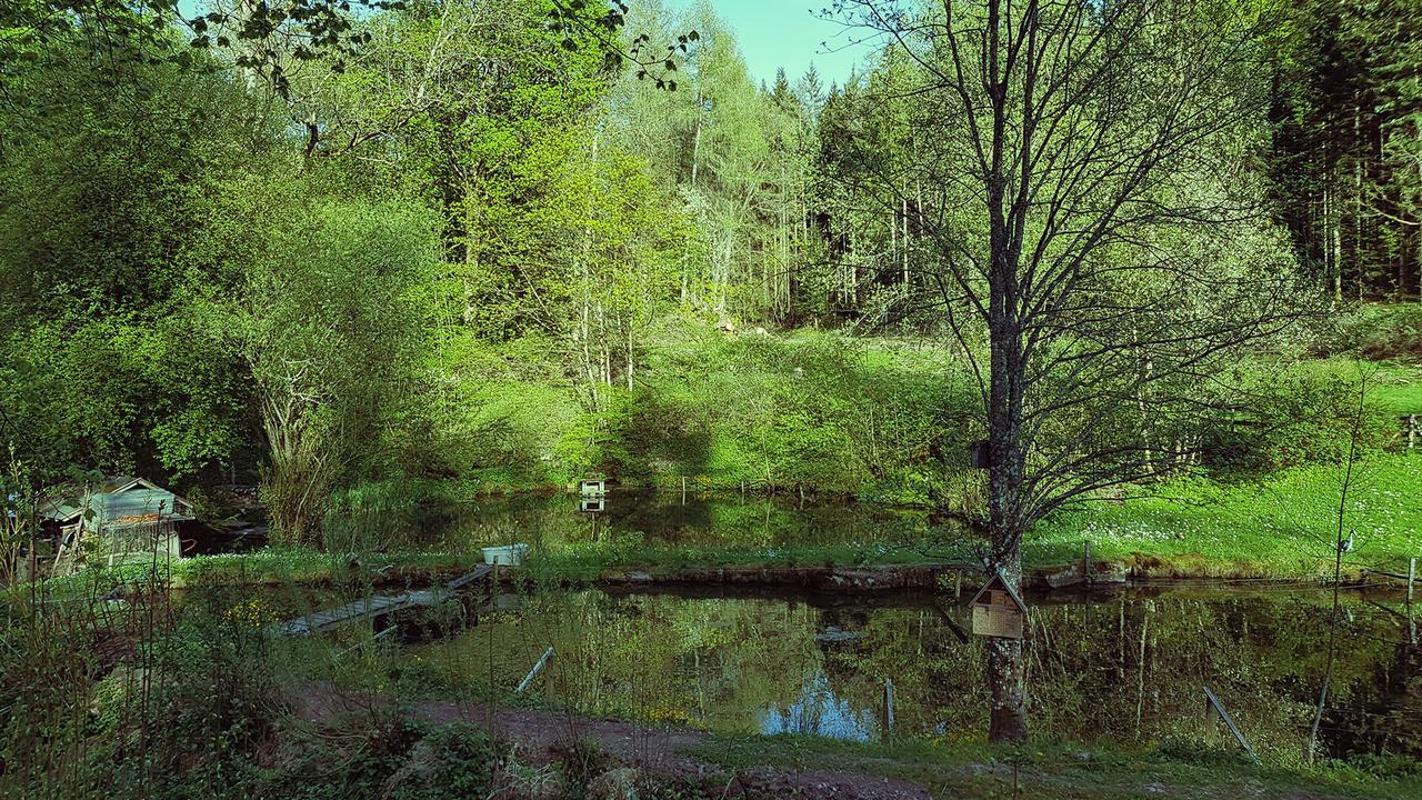 Gut Lauterbad Hotel Freudenstadt Exteriör bild