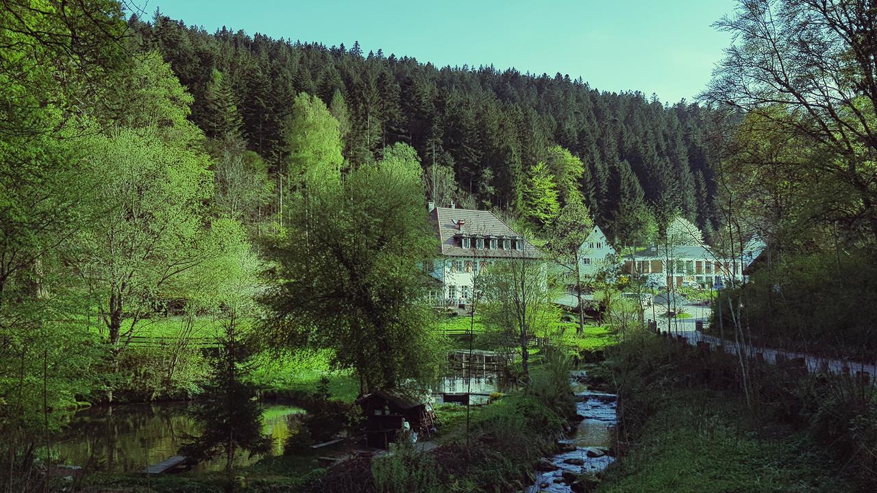 Gut Lauterbad Hotel Freudenstadt Exteriör bild