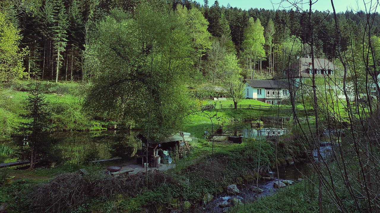Gut Lauterbad Hotel Freudenstadt Exteriör bild