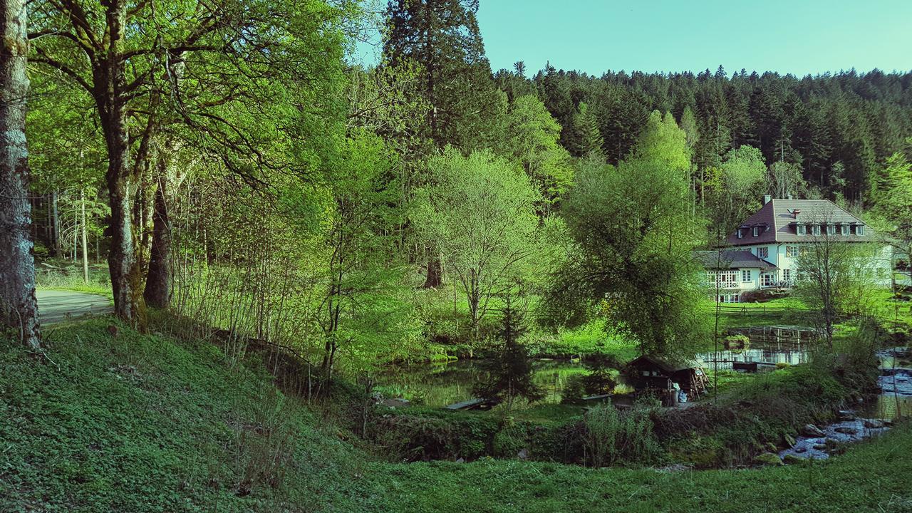 Gut Lauterbad Hotel Freudenstadt Exteriör bild